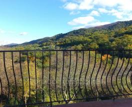 Achat maison à Montesquieu des Albères