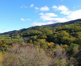 Achat maison à Montesquieu des Albères