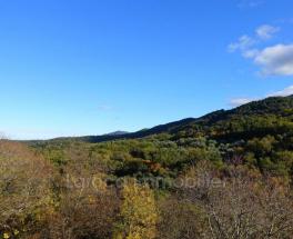 Achat maison à Montesquieu des Albères