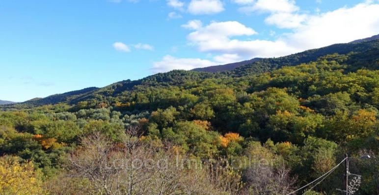 Achat maison à Montesquieu des Albères