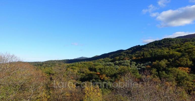 Achat maison à Montesquieu des Albères