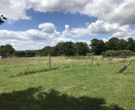 Propriété 3 chambres avec plus de 2 hectares