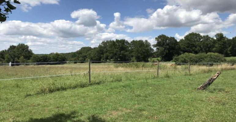 Propriété 3 chambres avec plus de 2 hectares